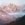 daylight-fog-foggy-landscape